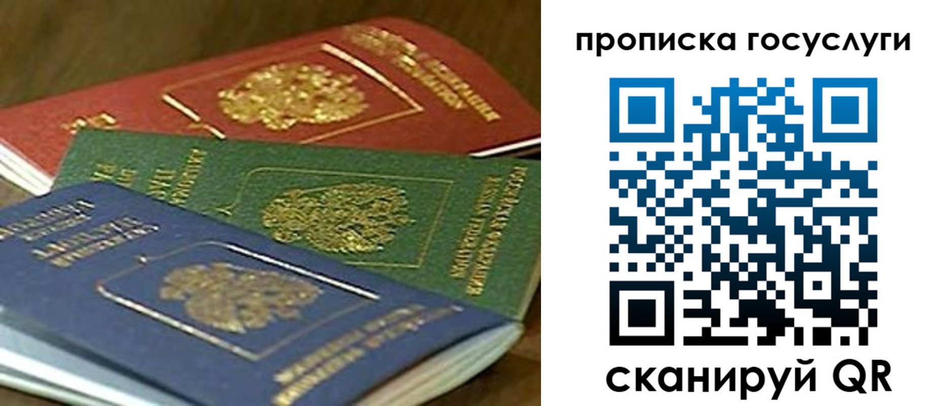 прописка гарантия в Суздали